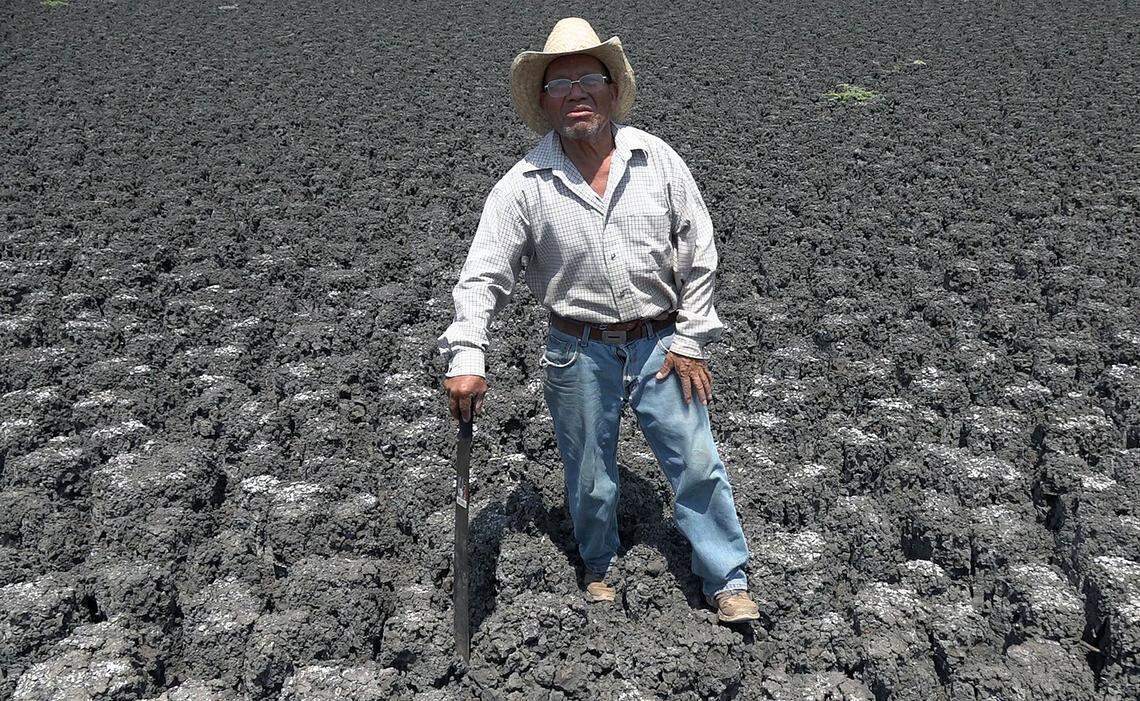El campesino Ambrosio Rodríguez posa el 26 de abril de 2024, en el poblado San Matías Chilazoa, municipio Ejutla de Crespo, Oaxaca. Campesinos indígenas del sur de México diseñan sus propios sistemas para captar lluvia en Oaxaca donde cerca de dos tercios de los municipios viven algún grado de sequía, una de las mayores crisis hídricas del país.
