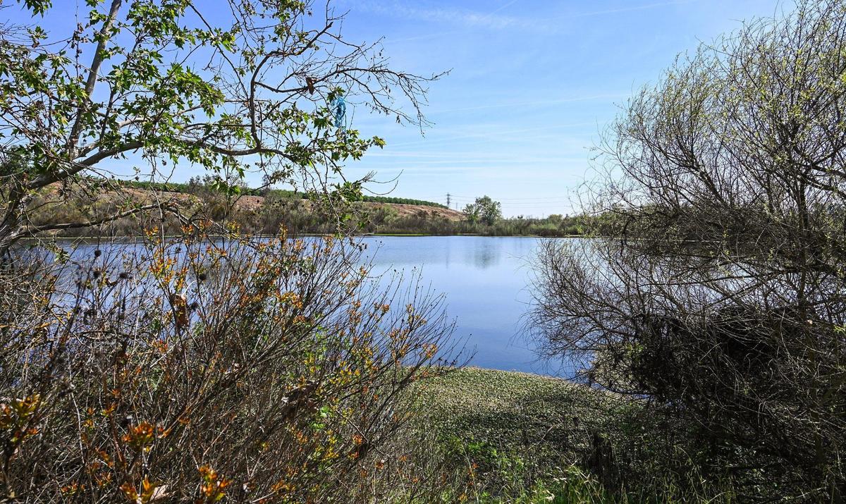 A clear view of the San Joaquin River at Camp Pashayan in northwest Fresno during the #River4All Community Day on Saturday, April 2, 2022.
