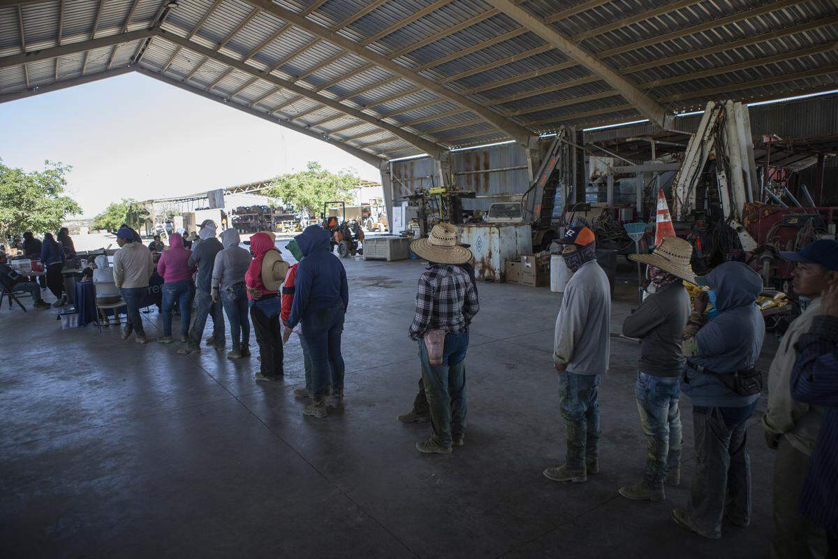 Farmworkers line up in an equipment barn to get a check-up by the staff of UCSF-Fresno, part of the Rural Mobile Health program, at a farm outside of Helm on June 16, 2025. Photo by Larry Valenzuela, CalMatters/CatchLight Local