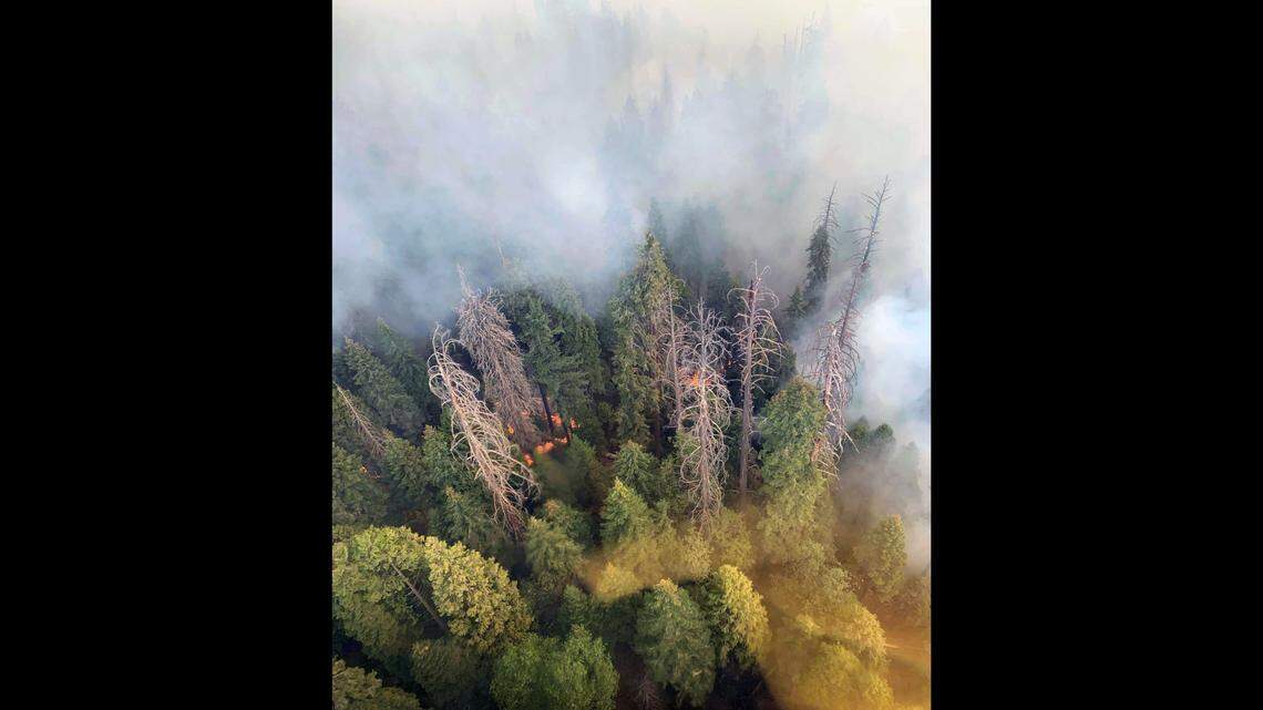 The Paradise and Colony fires in Sequoia and Kings National Parks are being called the KNP Complex, according to the National Park Service on Sunday, Sept. 12, 2021.