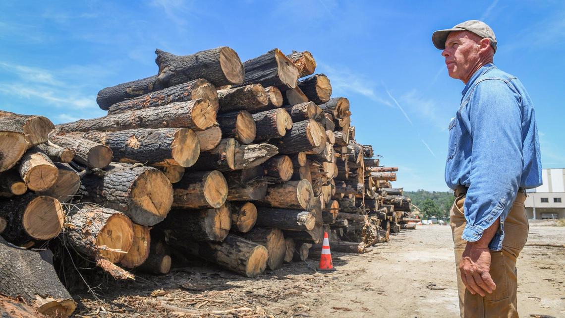 Kirk Ringgold stands near a stack of logs, many of them burnt in the Creek Fire, while working toward opening a sawmill operation on his property in Auberry, on Thursday, May 13, 2021.
