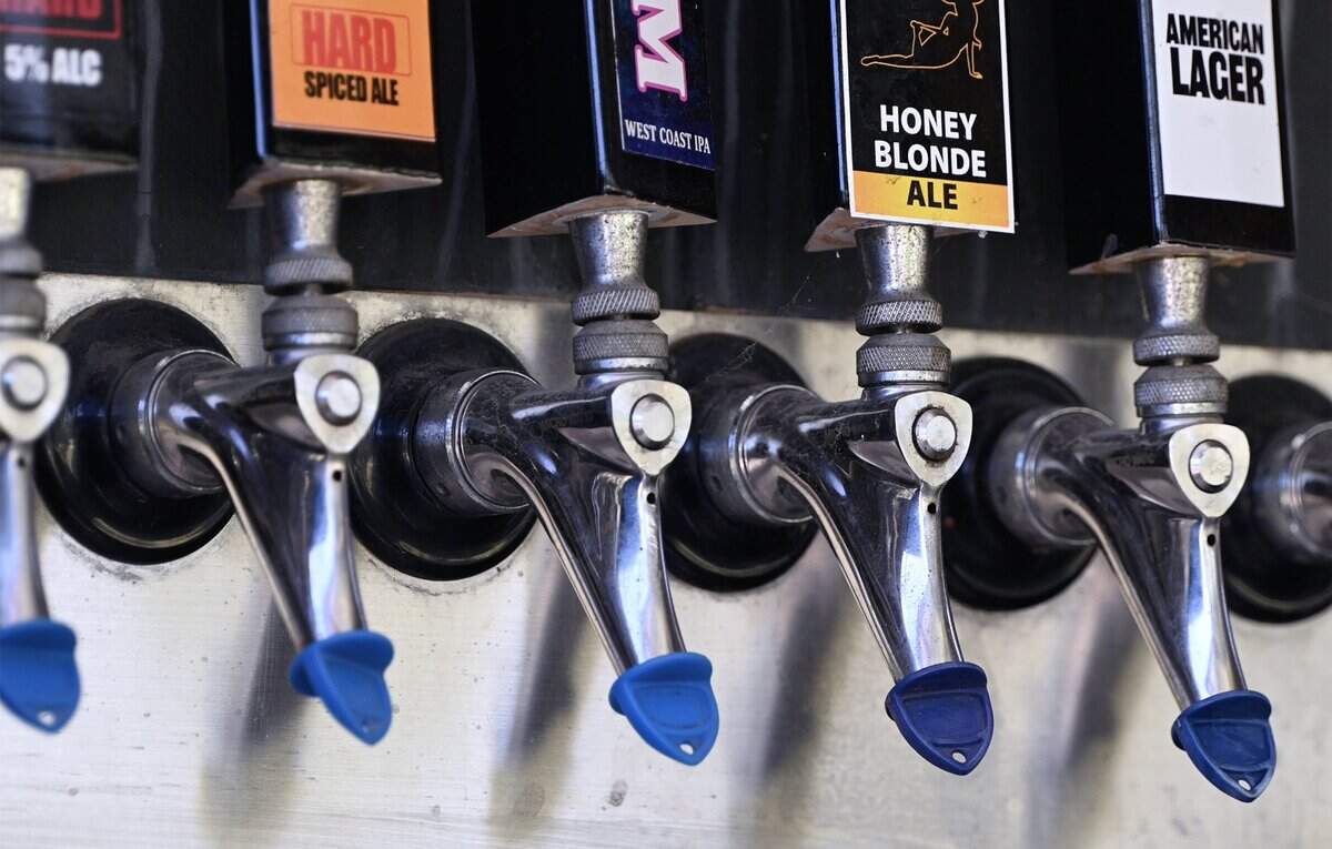 Beer on tap, seen at Darren Schmall's ApCal Rock'N Ranch, Friday, July 10, 2026 near Madera.