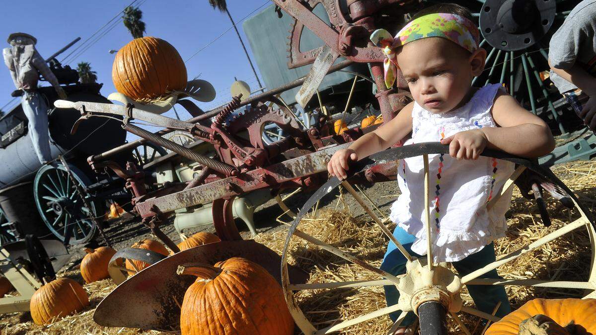 Brook Lord, 1 1/2 years old, explores antique farm machinery at the Simonian Farms pumpkin patch in 2014.