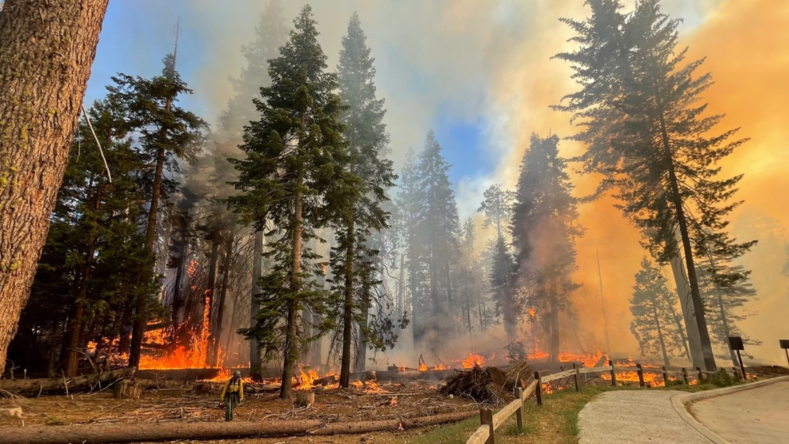 Update: Wildfire in Yosemite National Park grows. Evacuation order for Wawona