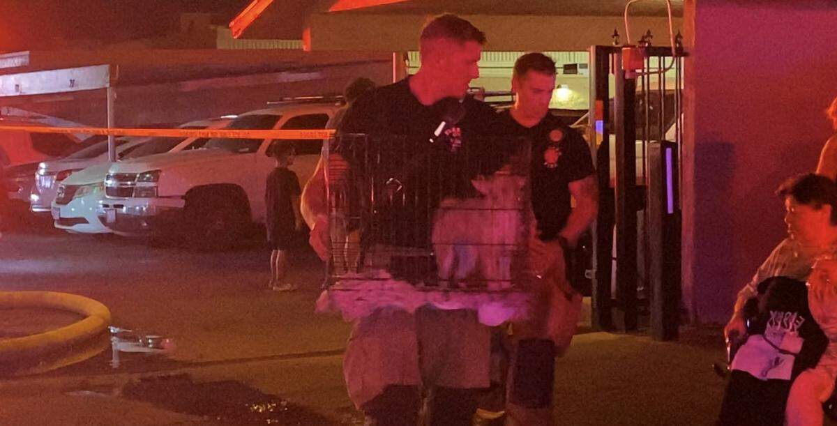 A firefighter carries a dog out of an apartment complex after crews responded to a two-alarm fire that left four injured on Thursday, Oct. 3, 2024.