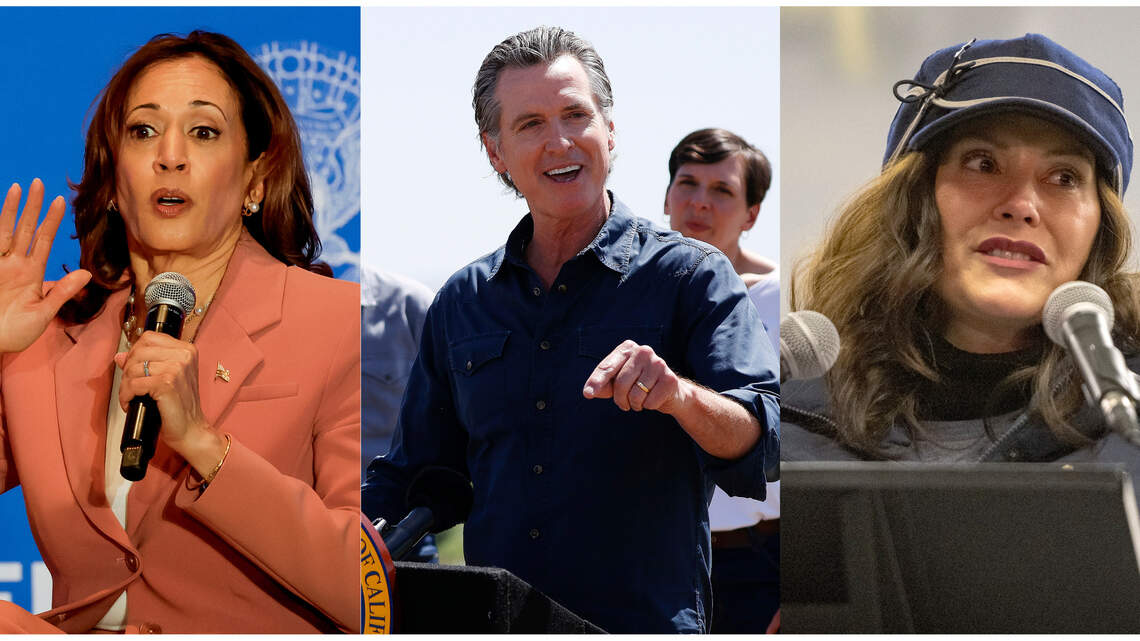 ¿Quién podría sustituir al Presidente Joe Biden como candidato demócrata?