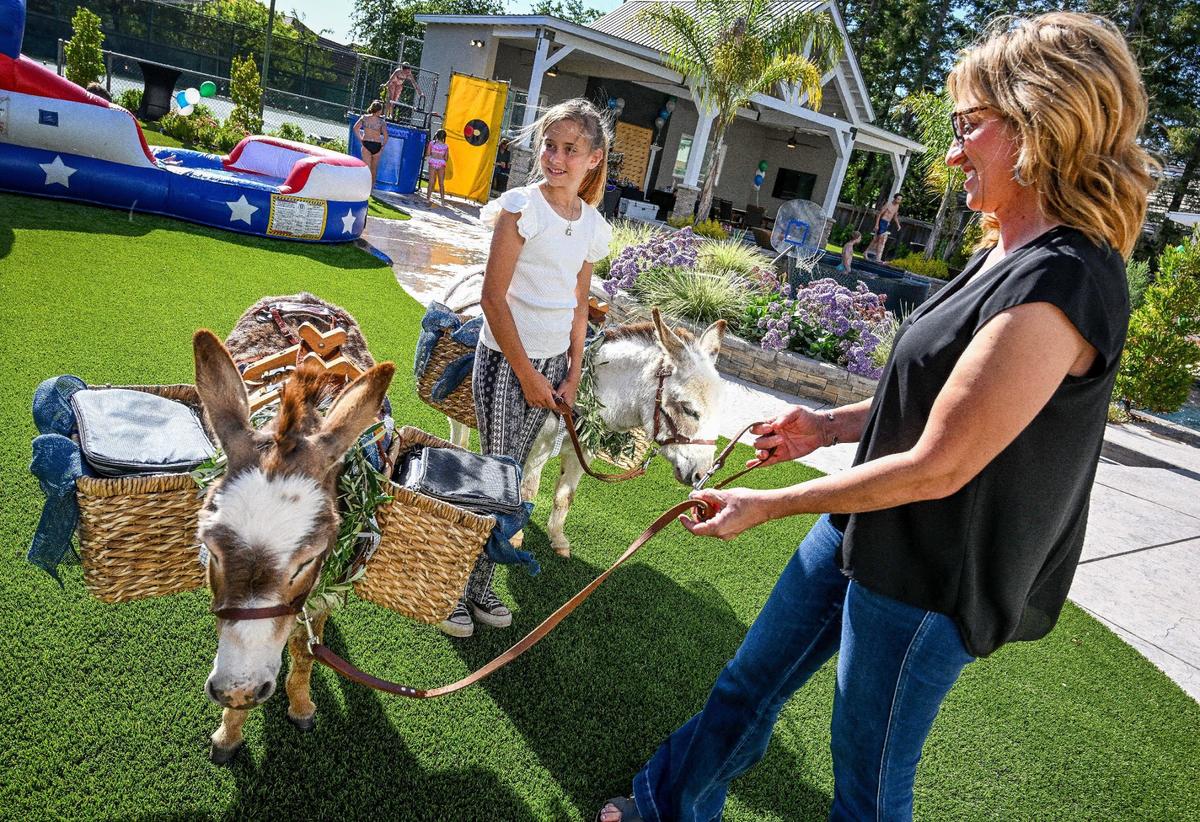 Drinky Donks owner Ranetta Bron, right, and her daughter Austyn get Buttercup, left, and Fiona eady for a graduation party in Fresno on Friday, May 24, 2024.