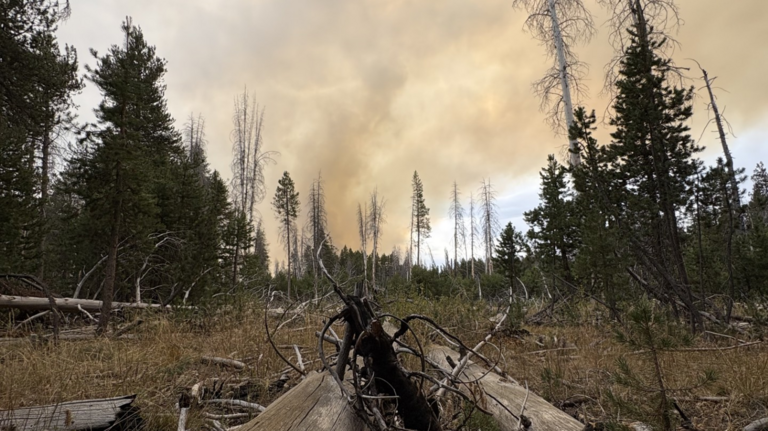 Update: Wildfire closes Mariposa-Yosemite airport as crews battle Dome Fire