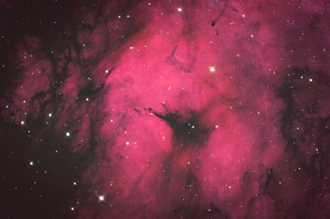 The nebulosity of hydrogen gas is revealed with the use of a “Hydrogen-Alpha” filter in an astro image of the Cygnus constellation by Sam Miller, a technician at the Sierra Remote Observatory in Auberry, California. The filter picks up on just the hydrogen gas.