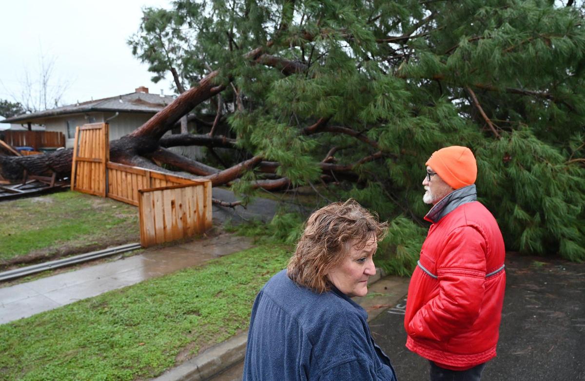 Vikki Hart and her husband Alan Hart check a tree that toppled from their property across a fence and into their neighbor’s driveway at W. Cortland and N. Thorne avenues Monday morning, Jan. 9, 2023 in Fresno.