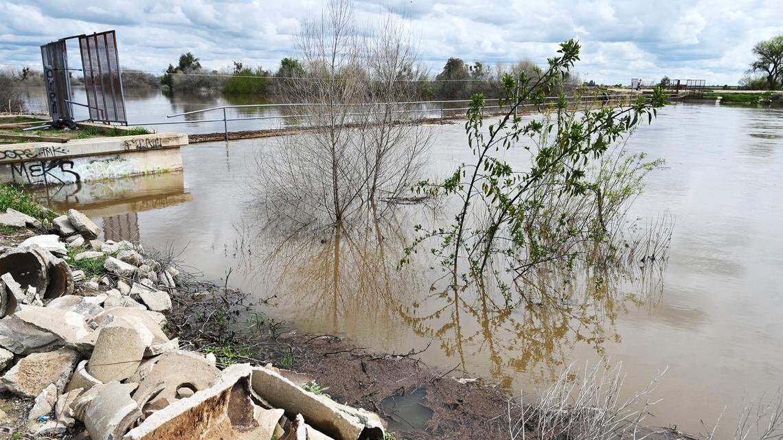 A fork of the lower Kings River flows through and almost tops Crescent Weir south of Riverdale, in southern Fresno County, before turning northwest Monday afternoon, March 20, 2023.