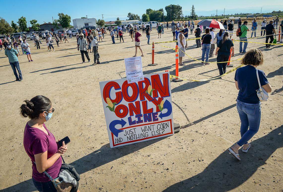 Shoppers wait in line socially distant-style to purchase Fresno State-grown corn on the first day of corn sales at the Gibson Farm Market on Monday, May 25, 2020. This year the market had two lines for people who wanted to just buy pre-bagged corn and for those wanting to purchase other items.
