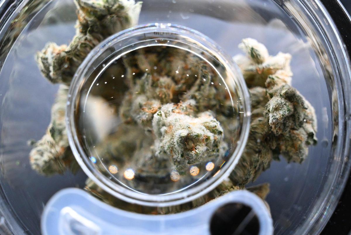 Buds are also available at Higher Level, Fresno‘s newest cannabis dispensary, located on Blackstone Ave. between Gettysburg and Shaw avenues. Photographed Monday, Feb 12, 2024 in Fresno.