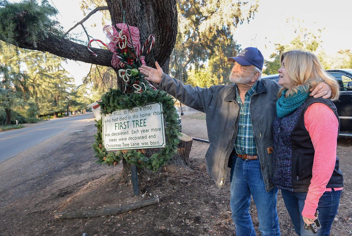 Greg Pratt and his wife Dana admire new growth on the deodar cedar in front of their property on Van Ness Boulevard on Friday, Nov. 29, 2019. The tree was decorated in honor of William Winning, who died at the age of 14 in an accident in 1920. It is considered the very first tree decorated on what is now Christmas Tree Lane. Pratt has been working to save the tree, which is nearing the end of its life and has suffered from bad pruning and lack of water over the years.