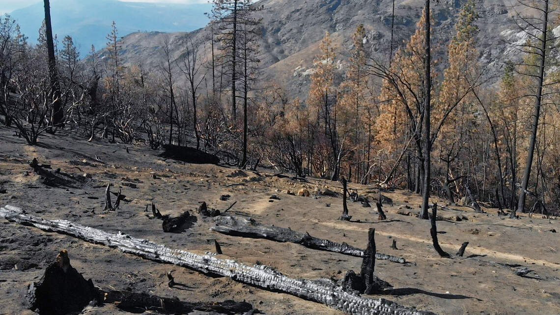 After the Creek Fire: Why a big rain could be bad for Fresno-area drinking water