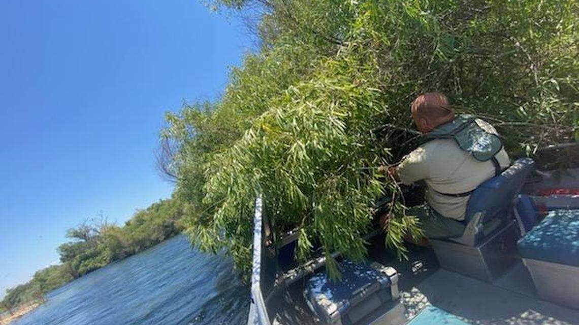 Authorities make several rescues at the Kings River in Fresno County on Tuesday, July 12, 2022.