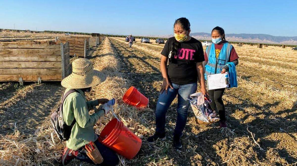 Farmworkers bear the greatest risk of falling ill and dying from COVID-19 and are disproportionately suffering from the pandemic’s financial and mental toll, a new report shows.