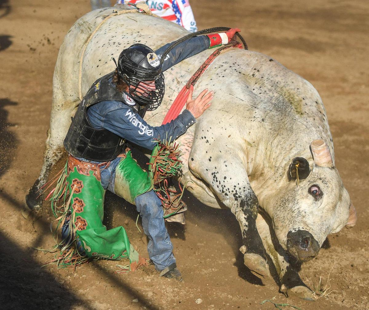 Josh Frost tries to pull his stuck hand off the rope after riding Majestic Blues in the first section of bull riding during the Professional Bull Riders event on the opening day of the Clovis Rodeo on Wednesday, April 20, 2022.