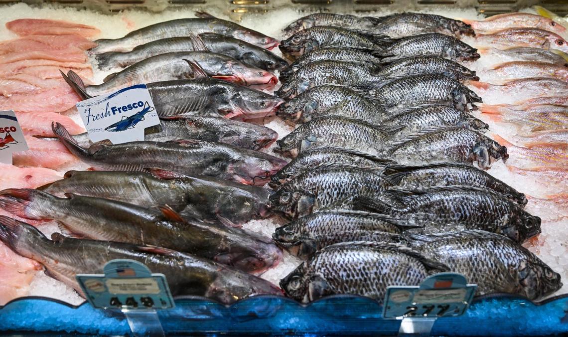 Fresh fish is displayed at the seafood counter at the new El Super supermarket on the north end of Manchester Center in Fresno on Wednesday, June 25, 2025.