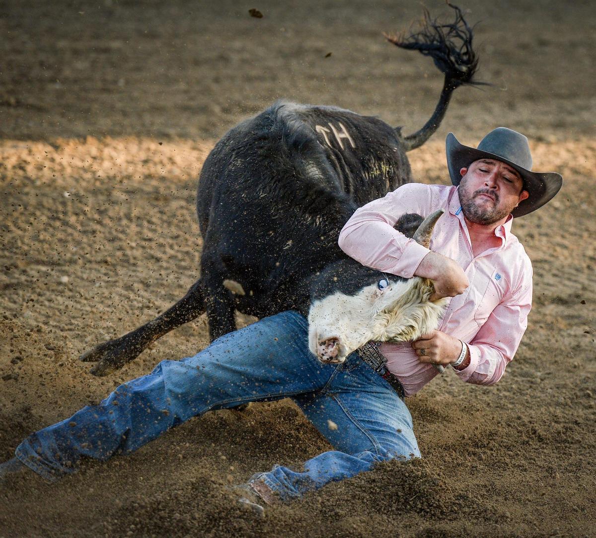 Joe Wilson of Martin, SD, tries to turn over a steer in the steer wrestling section of the PRCA event at the Clovis Rodeo on Thursday, April 23, 2021.
