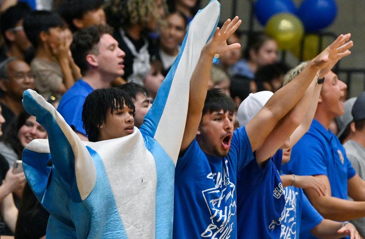Clovis High fans cheer their team playing against Clovis East in the Central Section Division I volleyball championship Thursday, May 11, 2023 in Clovis.