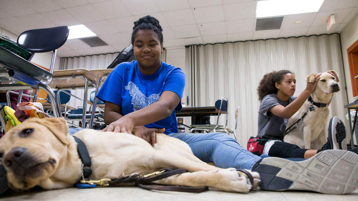 Izabelle Harris and Mia Rafanan massage their in-training guide dogs at Hutto High School.