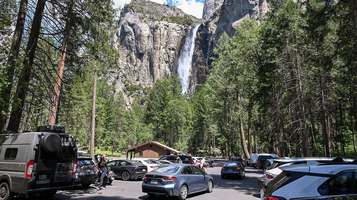 Bat found at Yosemite campground tests positive for deadly disease. What to know - Fresno Bee