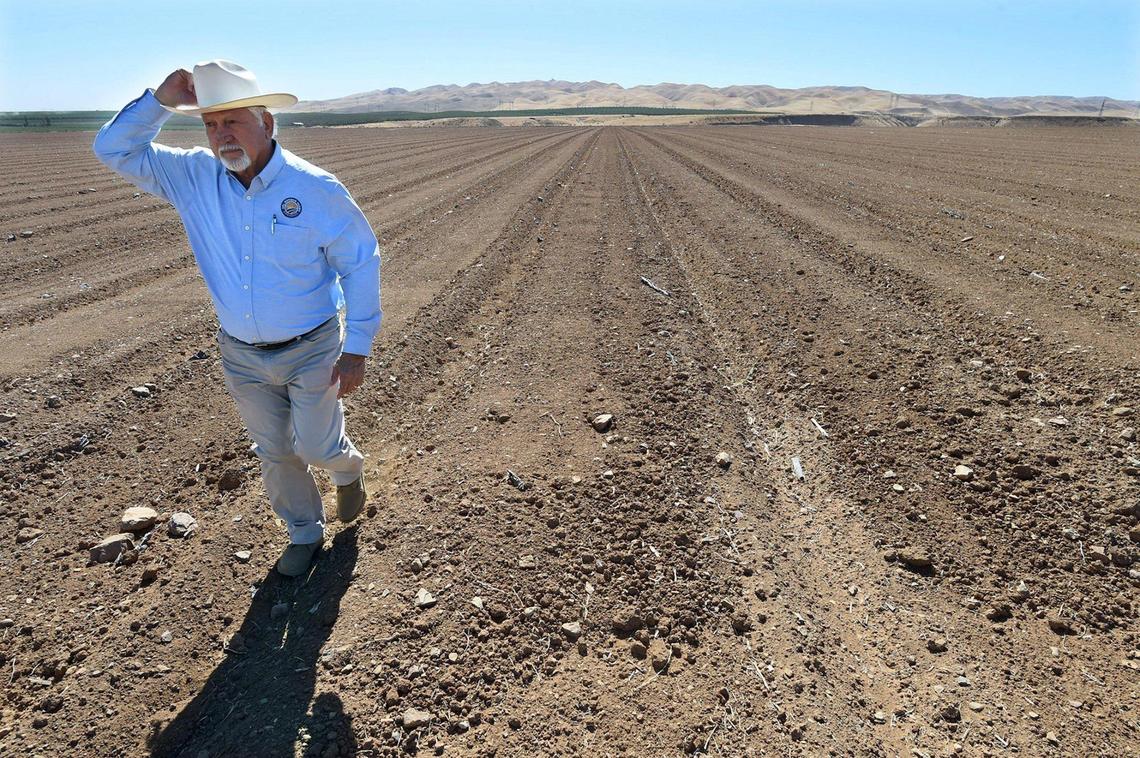Holding on to his hat in a stiff wind, Firebaugh farmer Joe Del Bosque walks off a field that he planted with melons this last season. The field will remain fallow until he finds out if he’ll get water for the crop.