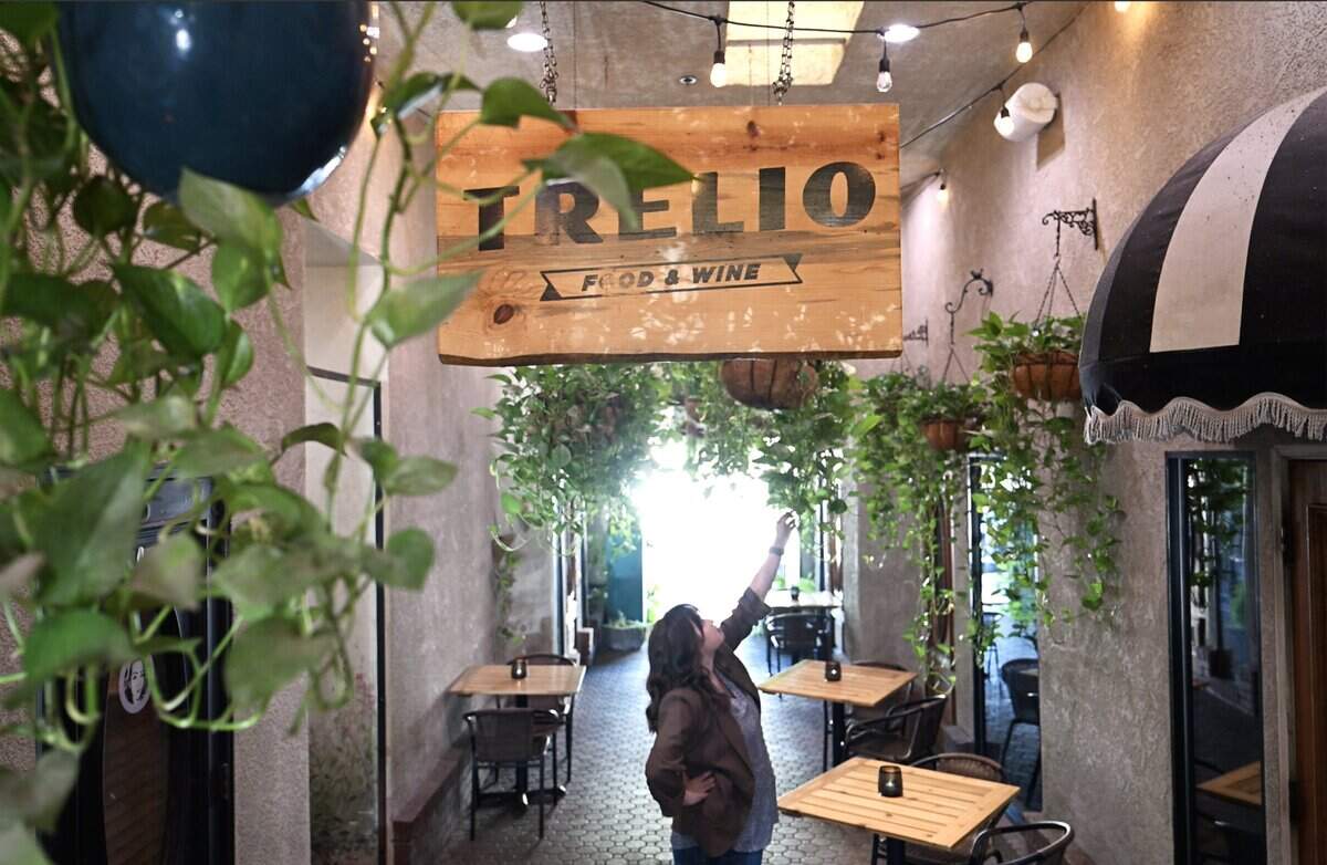 Kelsey Miller, Service Director at Trelio Food & Wine inspects the plants in the breezeway outside Trelio Food & Wine Thursday, June 11, 2026 in Clovis.