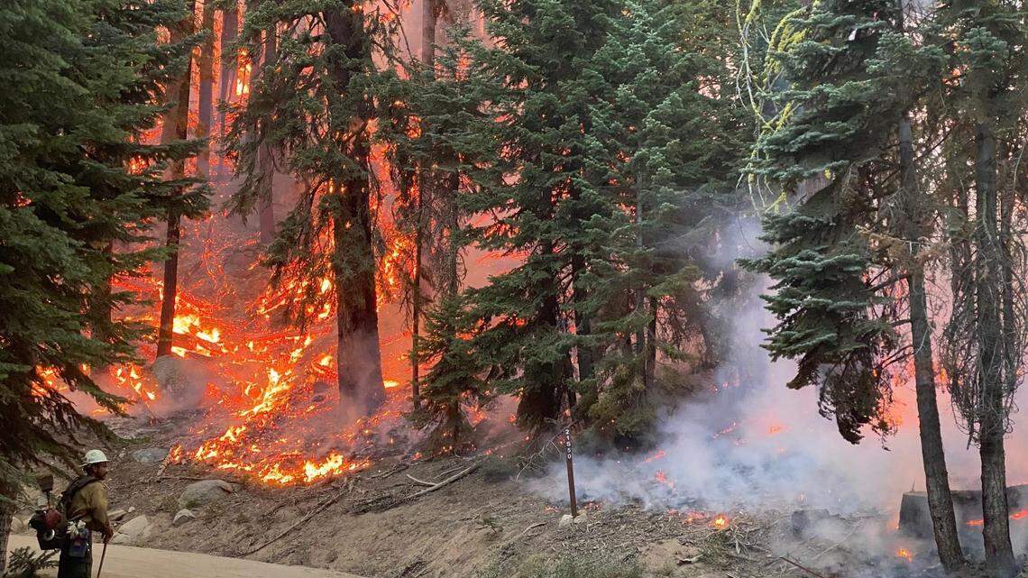 A scene from the Sequoia Complex Fire, Sept. 12, 2020.