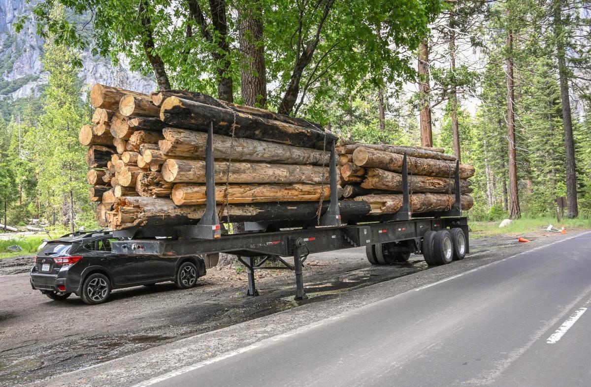 A trailer filled with felled logs sits on the side of Northside Drive in Yosemite Valley on Tuesday, June 13, 2023.