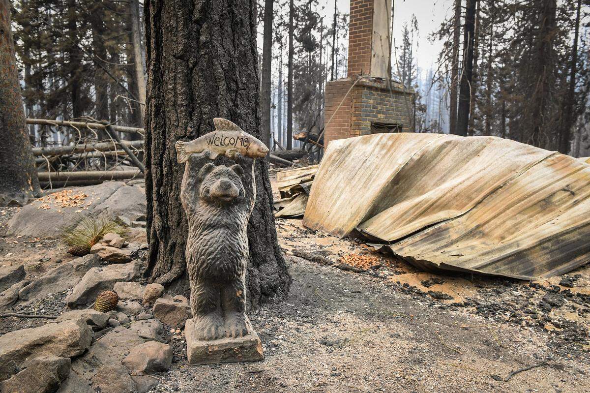 A small bear statue still stands in front of a burned cabin in the Camp Silver Fir area on the north of Huntington Lake on Sunday, Sept. 13, 2020. Fire officials said a fire tornado blew through the area at some point last week burning cabins and knocking down many trees.