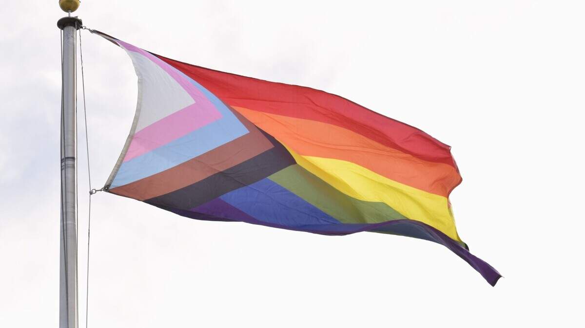 The LGBTQ+ Pride flag