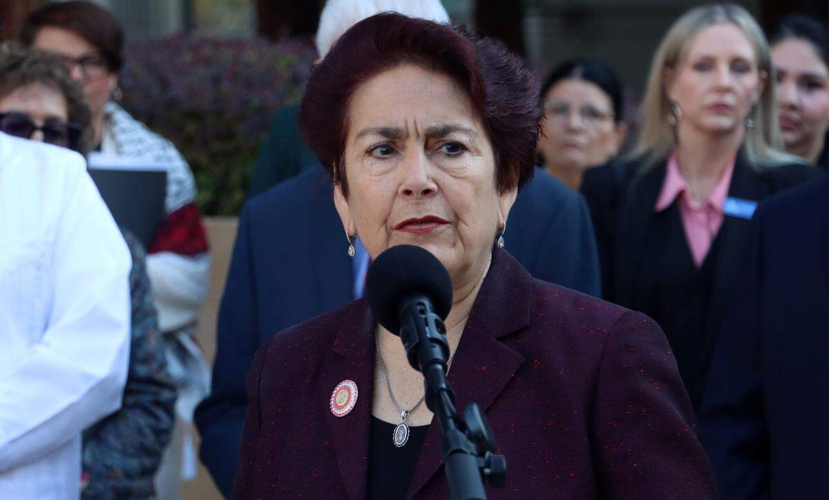 State Sen. Anna Caballero, D-Merced, called the immigration arrests of two Central Valley mothers "bureaucratic cruelty." She spoke at an Oct. 17, 2025 press conference outside the downtown Fresno federal courthouse.