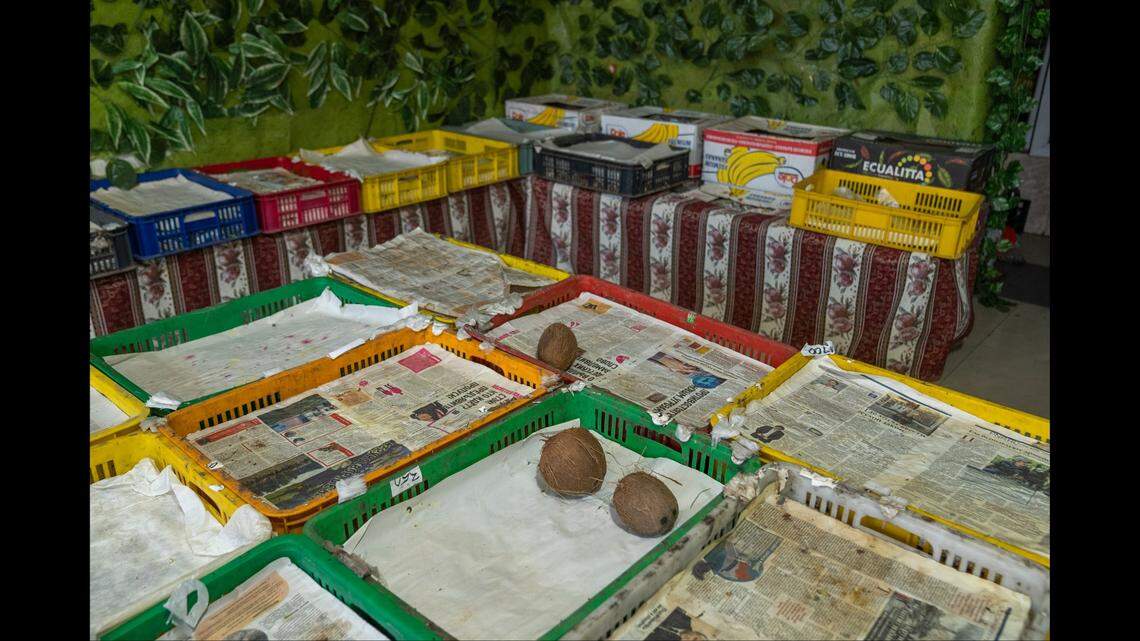 Empty store shelves in Nagorno Karabakh, the area of dispute between Armenia and Azerbaijan.