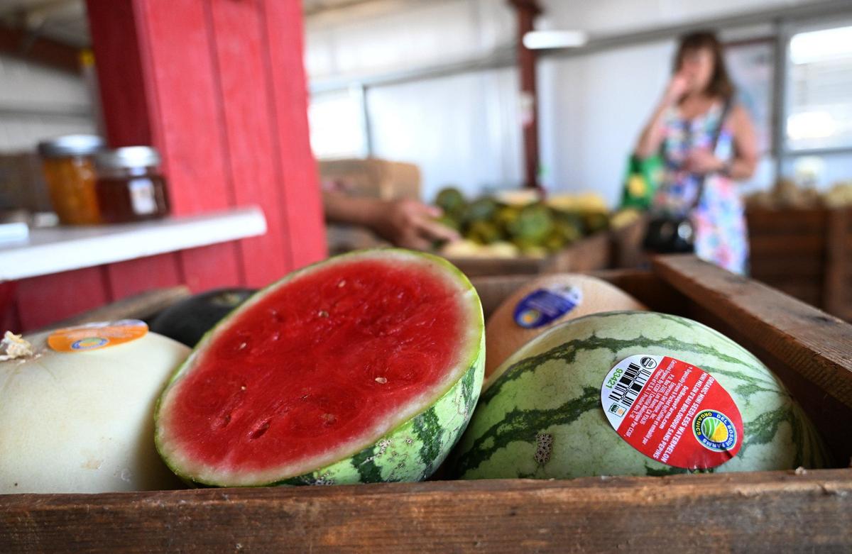 Joe Del Bosque of Del Bosque Farms sells a wide variety of melons at his fruit stand on Shields Ave near I-5 at the far west side of the Valley. Photographed Monday, July 15, 2024.