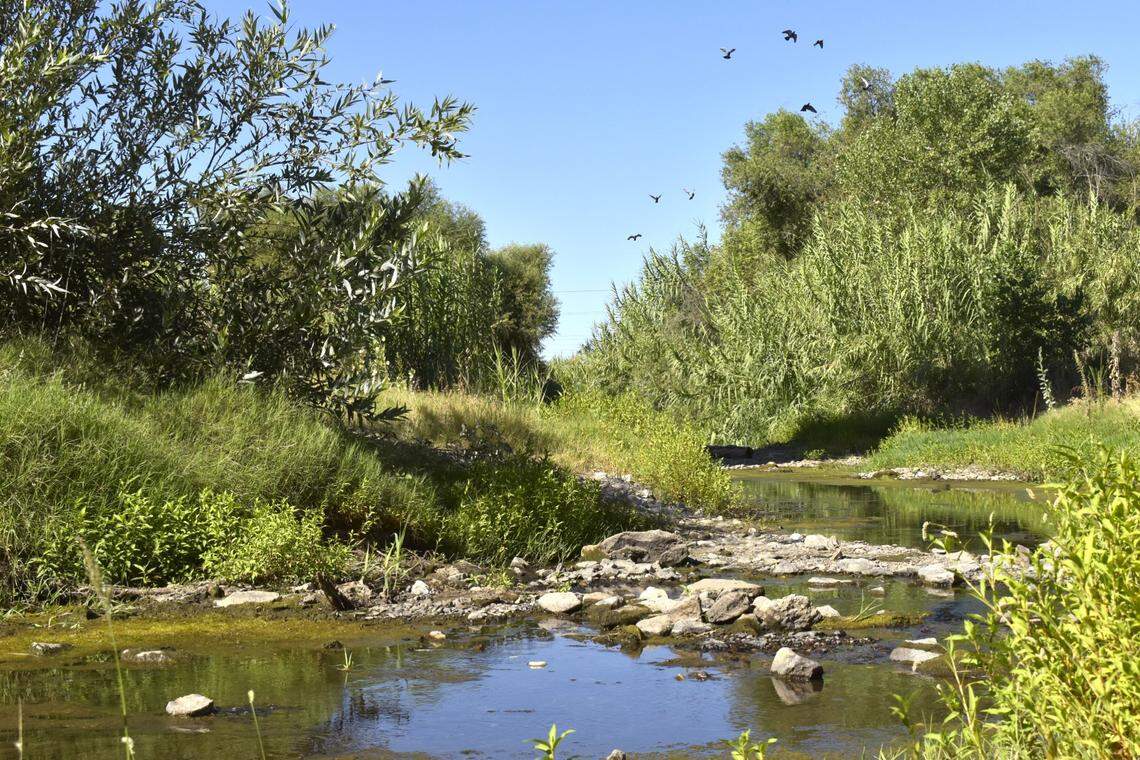 The area along the Fresno River in Madera has been the focus of the city’s Police Department’s enforcement of anti-encampment laws in recent years, Police Chief Giachino Chiaramonte says.