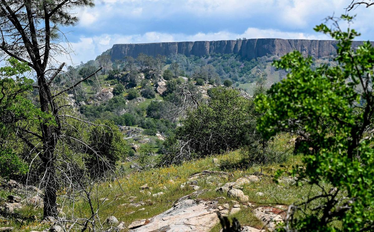 Wildflowers grow along a hillside as table mountains rise in the background as seen along the San Joaquin River Trail on Wednesday, April 12, 2023.
