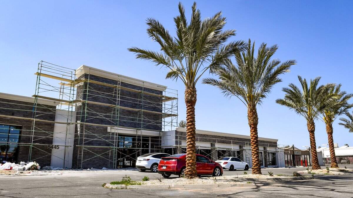 Freshly planted palm trees line up in front of the old Orchard Supply Hardware building on Blackstone Avenue now covered in decorative stone and soon opening as a new upscale Furniture City Design Studio.