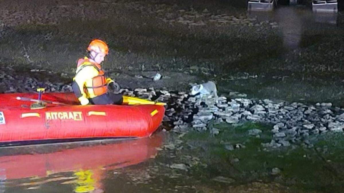 A member of the Tulare County Fire Department Swift Water Rescue Team reaches a dog that was stranded in a ponding basin near Pixley on Saturday, July 17, 2021.