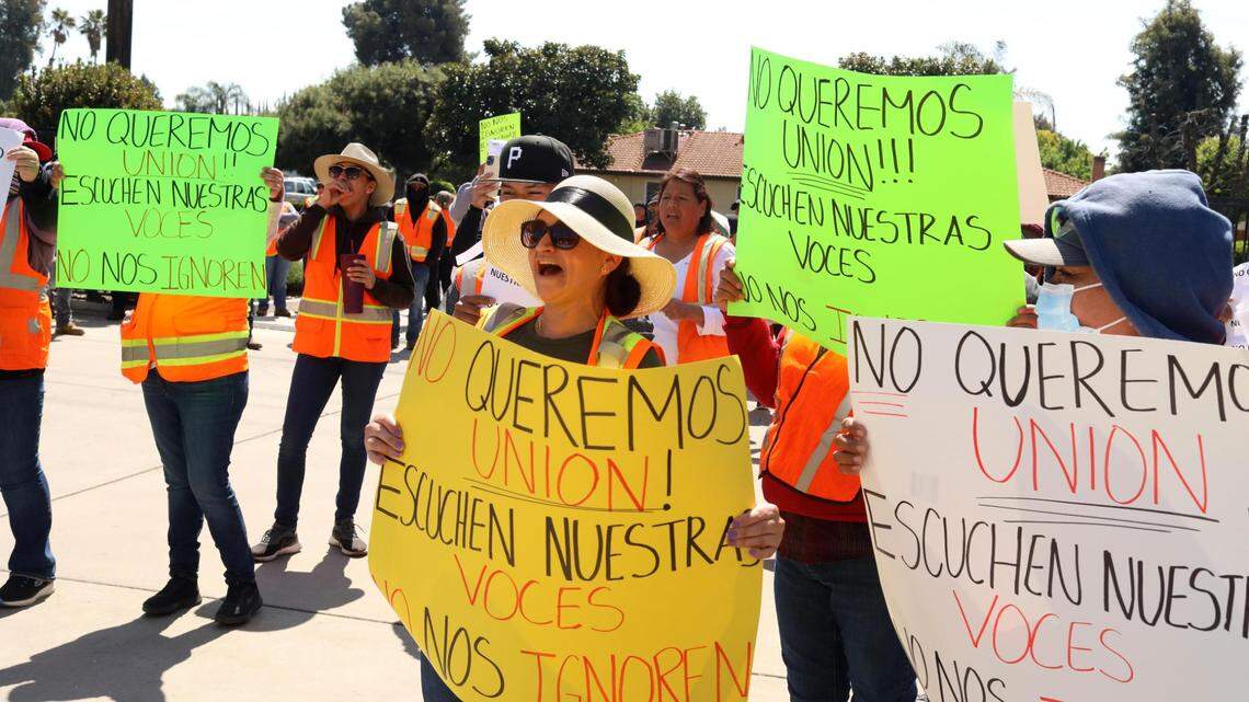Wonderful promete luchar contra la ley que facilita la sindicalización mediante la verificación de firmas