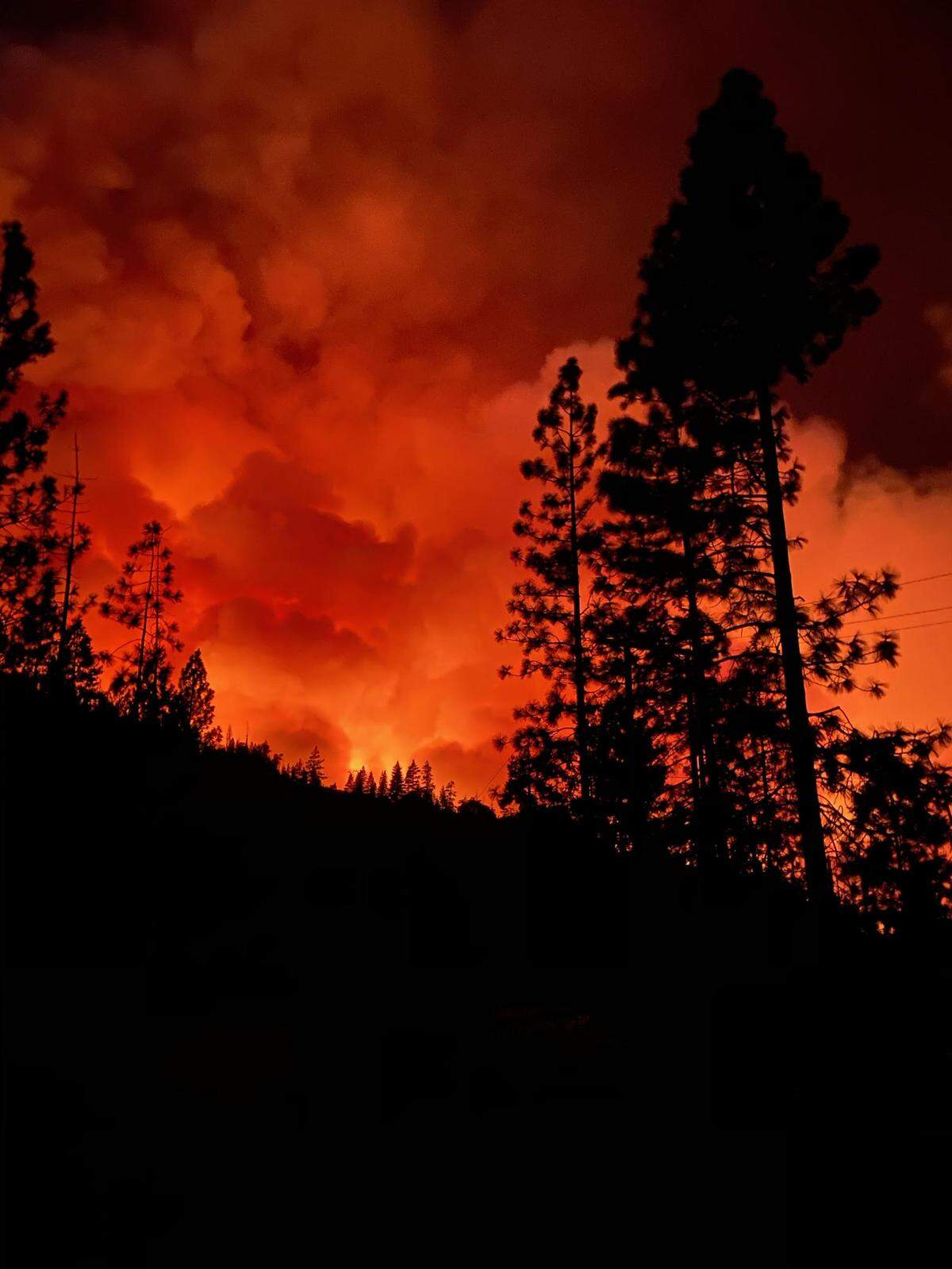The Creek Fire glows red against a silhouette of trees as it grows in the area near Big Creek and Camp Sierra in eastern Fresno County on Friday night, Sept. 4, 2020.