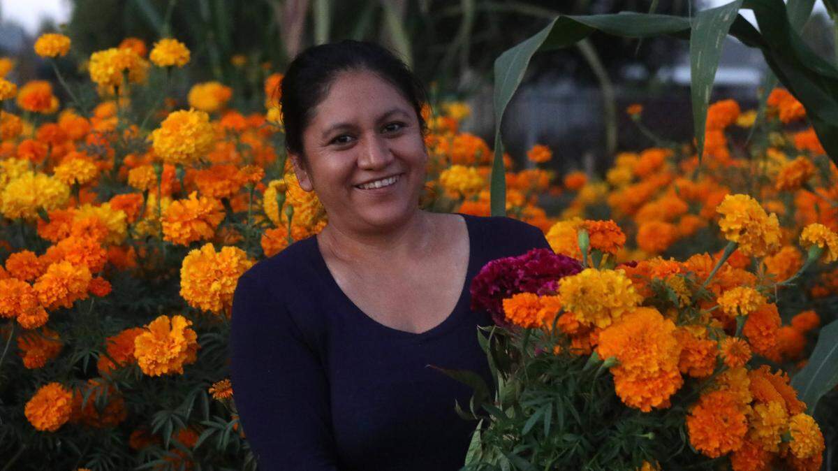 Residentes del área como Isabel Patricio son solo algunos de los miembros del jardín comunitario que tienen parcelas llenas con la flor de cempasúchil ya sea para uso personal y también para vender ya que se acerca la celebración de Dia de los Muertos.