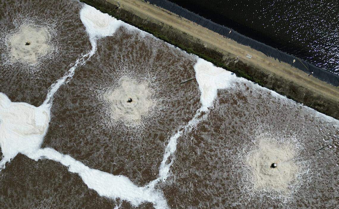 Fountains churn water in ponds at Sanger’s industrial waste water treatment plant are seen Thursday, April 3, 3025 just outside of Sanger.