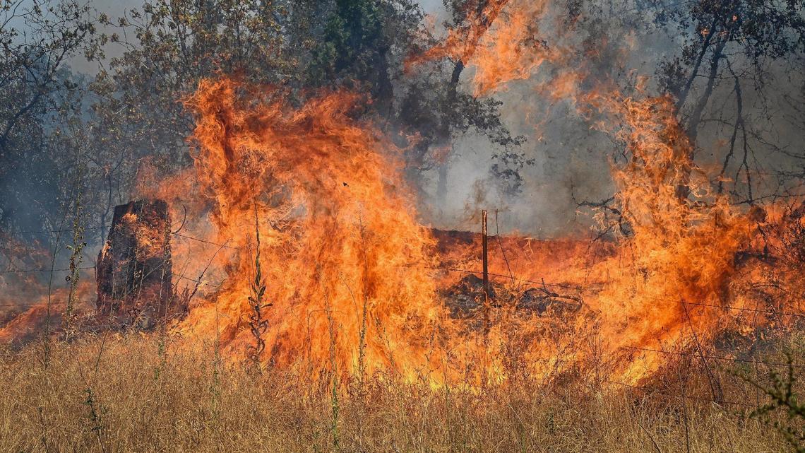 Oak Fire live updates: How overnight firefight went; community meeting set and more