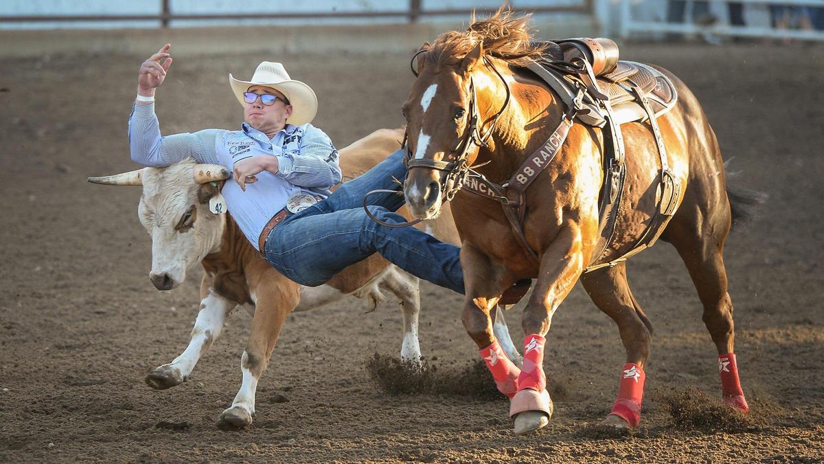 Bridger Anderson of Carrington, ND, has trouble pulling down a steer in the steer wrestling section of the PRCA event at the Clovis Rodeo on Thursday, April 23, 2021.