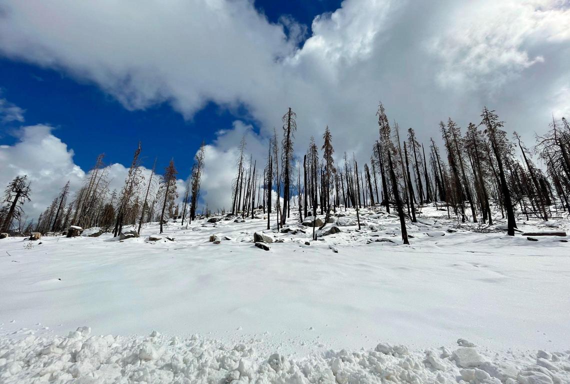 Tuesday night’s snowfall is shown at Coyote Sno-Park along Highway 168 Wednesday, Nov. 2, 2022 near Shaver Lake.