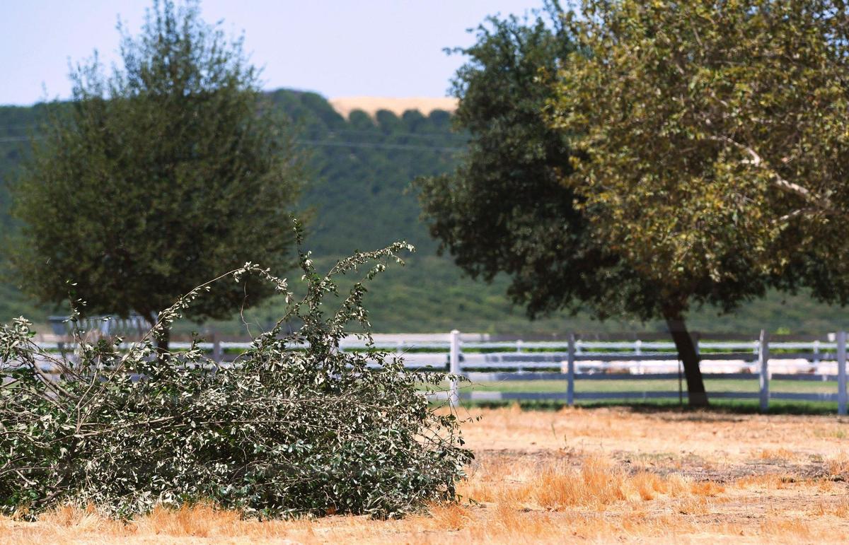 A fenced field surrounded by pastures for horses is seen near the foothills where a college and housing development has been proposed on 7,000 acres of land owned by John Harris. Photographed Wednesday, July 13, 2022.