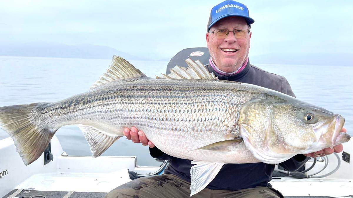 Roger George shows off a striper caught Dec. 21 at San Luis Reservoir. The fish measured 45-inches and weighed 38.1 pounds, the fourth-largest striper George has caught at San Luis. It was his 34th fish over 20 pounds since last September.