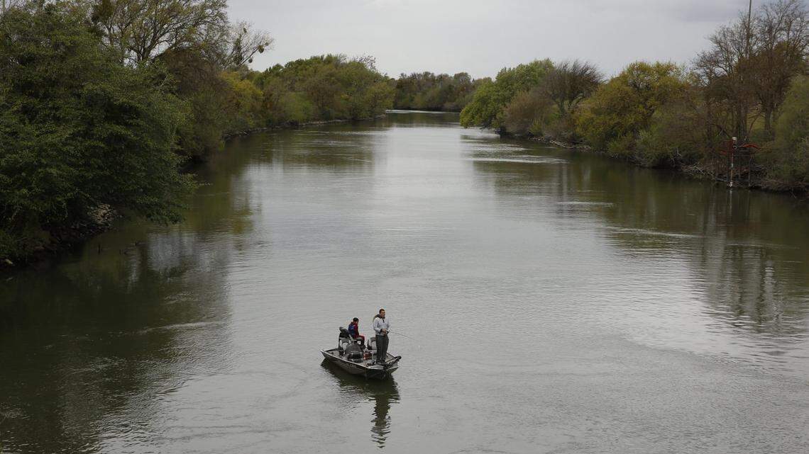 Central California fishing report: Delta sturgeon bite rebounds. McSwain trout plants producing big limits and Wishon trout bite is steady.